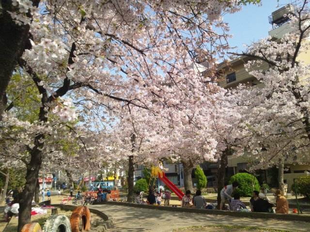公園