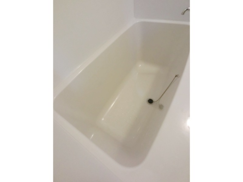 バス