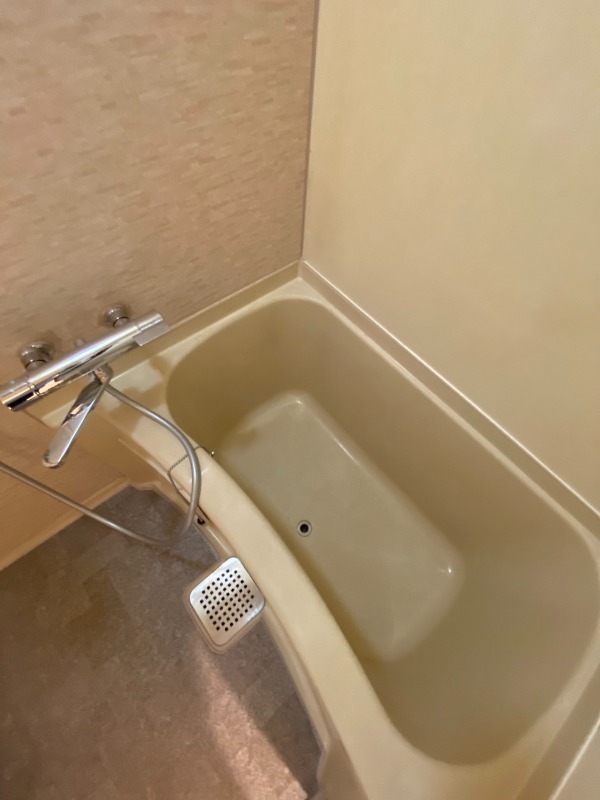 バス