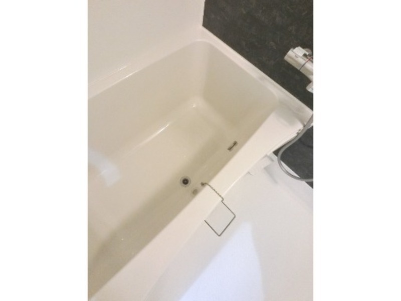 バス