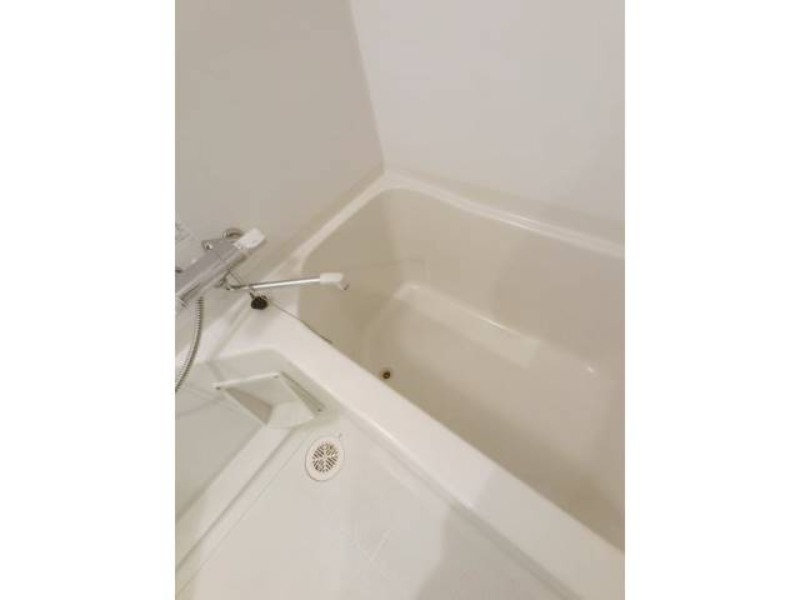 バス