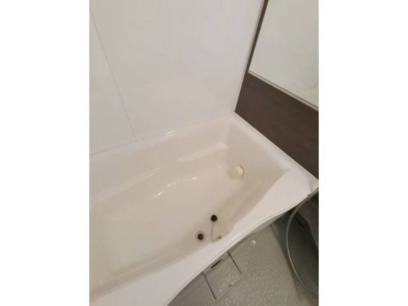 バス