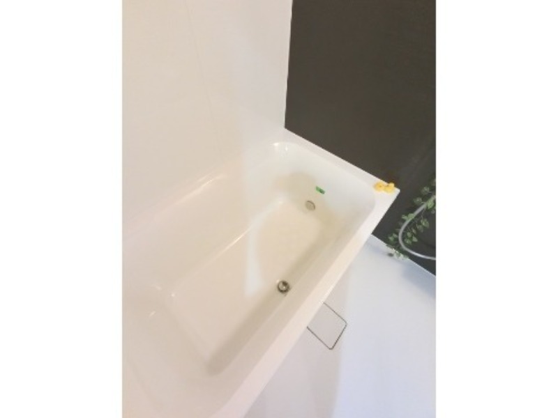 バス