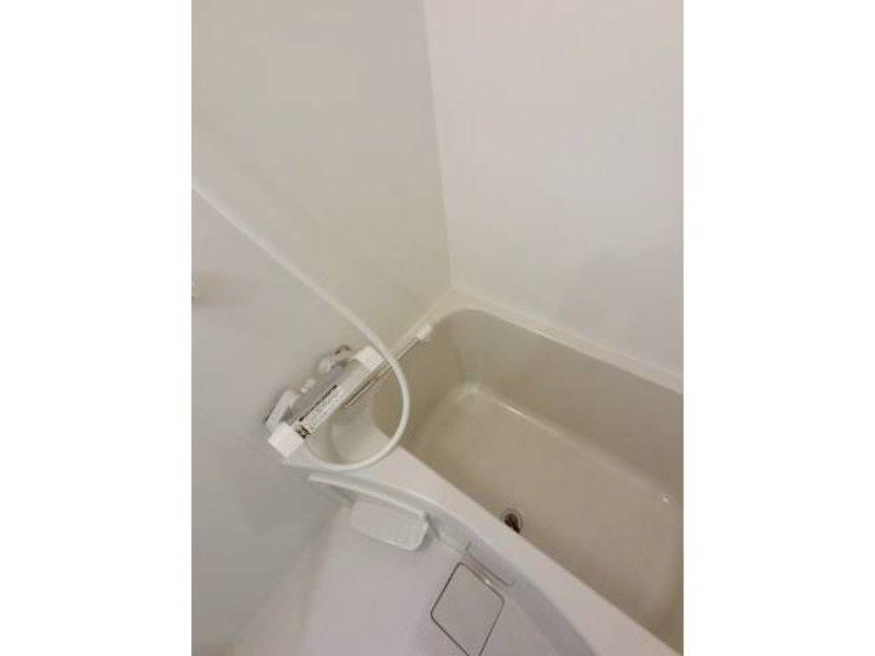 バス