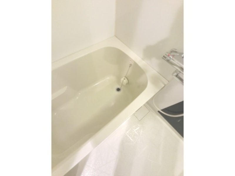 バス