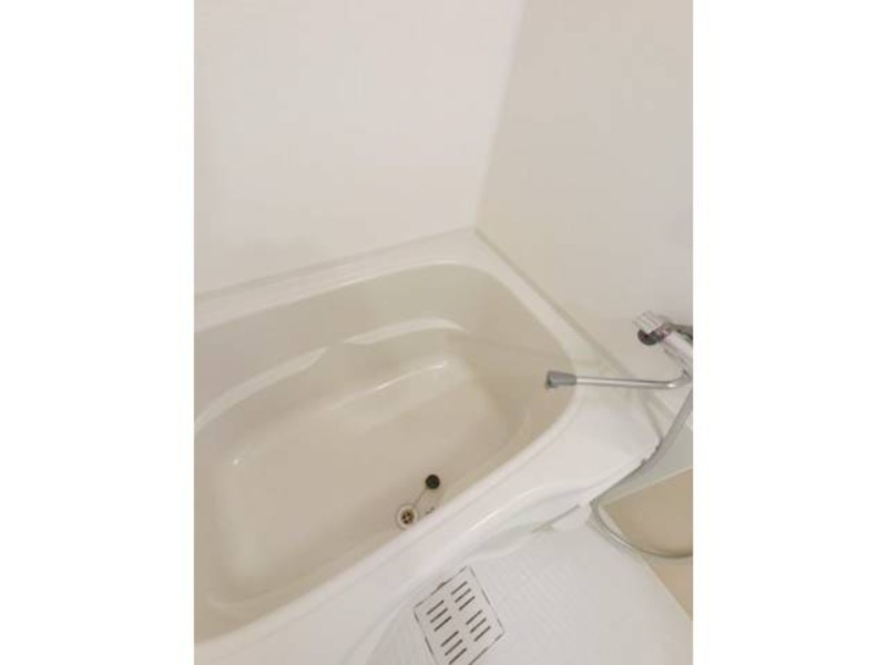 バス