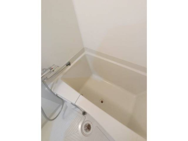 バス