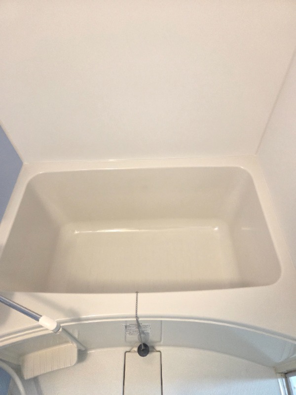 バス