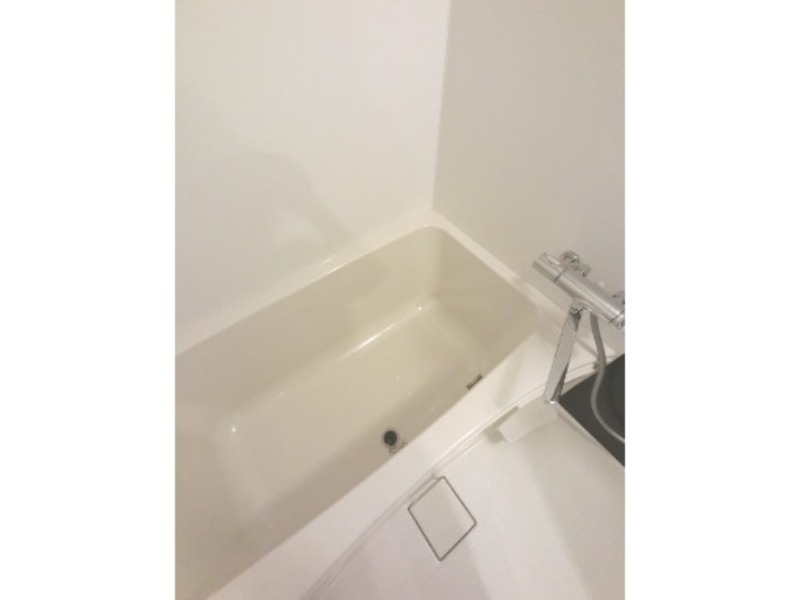 バス