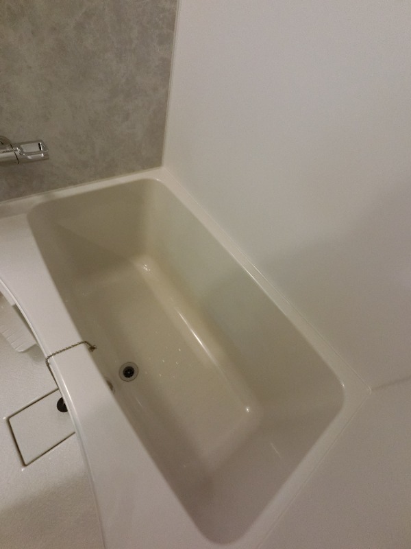バス